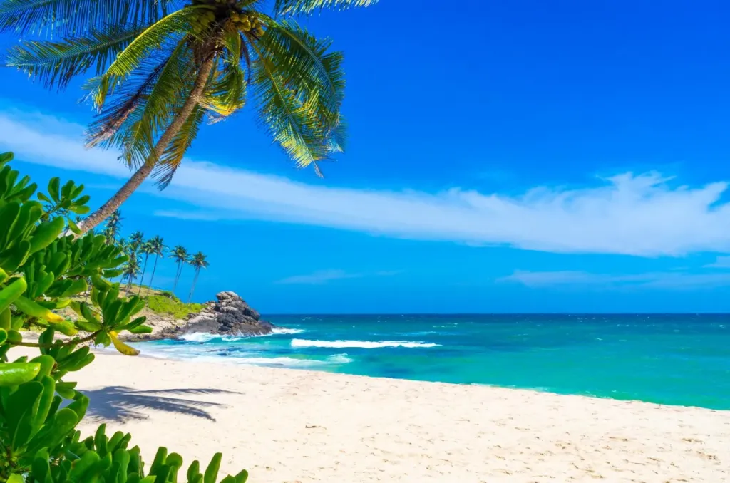 Urlop pod palmami – Bali czy Sri Lanka?