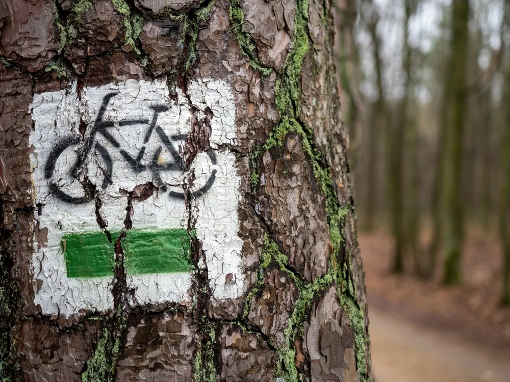 Rower Trekkingowy w Polsce: Szlaki Pełne Przygód
